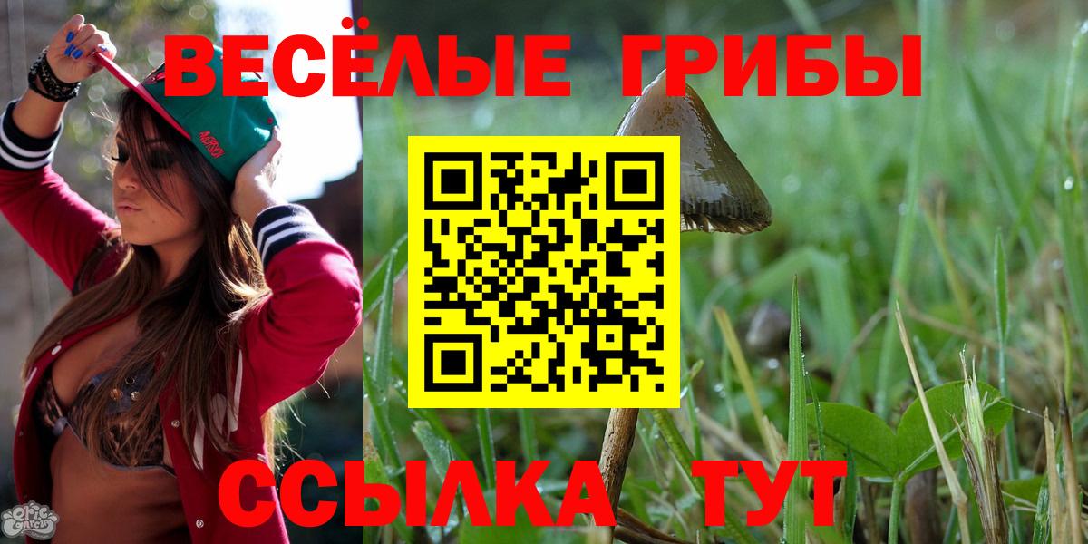 Псилоцибиновые грибы прущие грибы  купить  цена  Среднеуральск  Псилоцибиновые грибы прущие грибы  Вход с VPN 